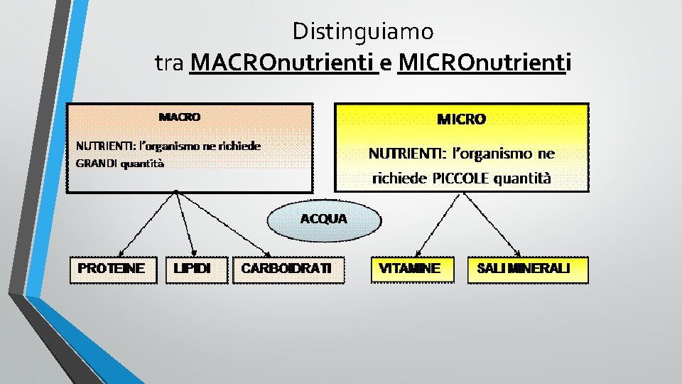 Distinguiamo tra MACROnutrienti e MICROnutrienti 