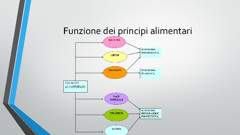 Funzione dei principi alimentari 