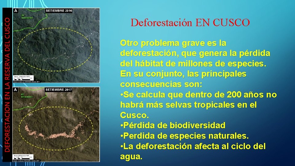 DEFORESTACION EN LA RESERVA DEL CUSCO Deforestación EN CUSCO Otro problema grave es la