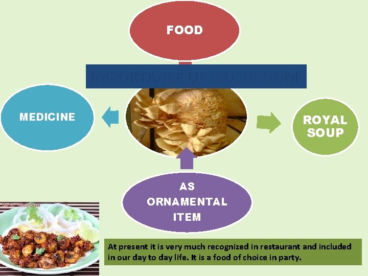 FOOD IMPORTANCE OF MUSHROOM MEDICINE ROYAL SOUP AS ORNAMENTAL ITEM At present it is