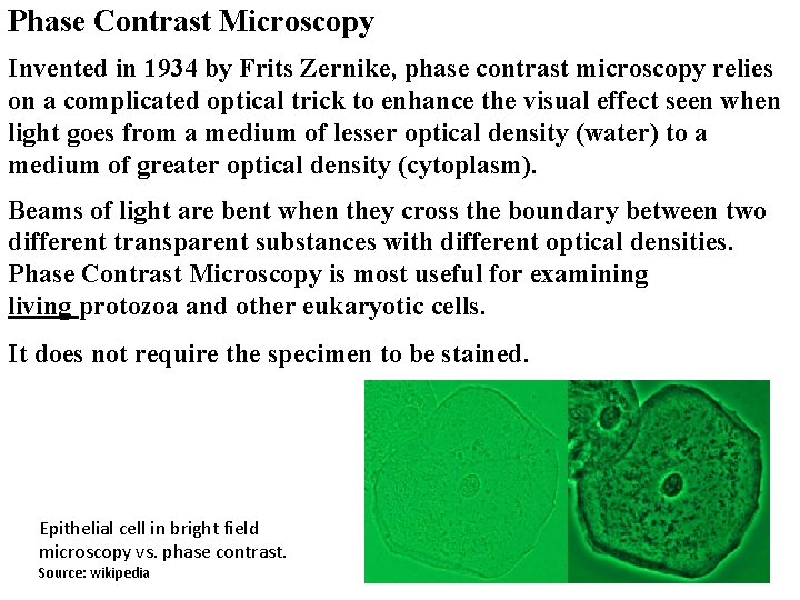 Phase Contrast Microscopy Invented in 1934 by Frits Zernike, phase contrast microscopy relies on