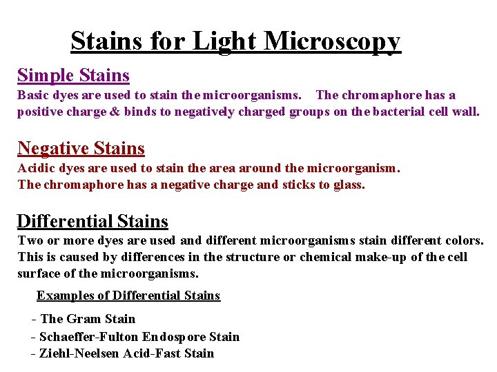 Stains for Light Microscopy Simple Stains Basic dyes are used to stain the microorganisms.