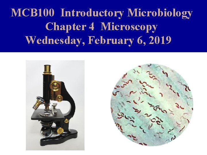 MCB 100 Introductory Microbiology Chapter 4 Microscopy Wednesday, February 6, 2019 