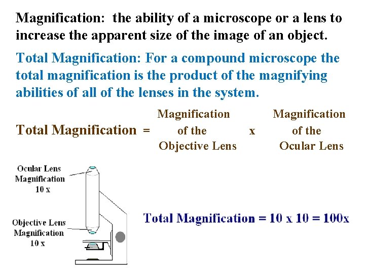 Magnification: the ability of a microscope or a lens to increase the apparent size