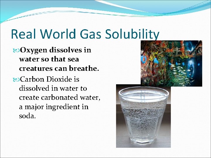 Real World Gas Solubility Oxygen dissolves in water so that sea creatures can breathe.