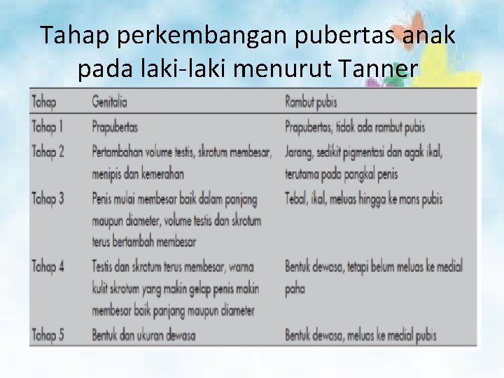 Tahap perkembangan pubertas anak pada laki-laki menurut Tanner 