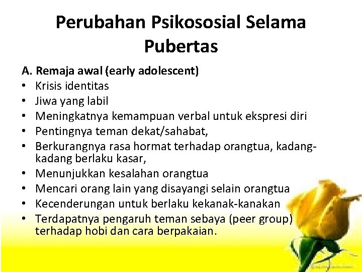 Perubahan Psikososial Selama Pubertas A. Remaja awal (early adolescent) • Krisis identitas • Jiwa