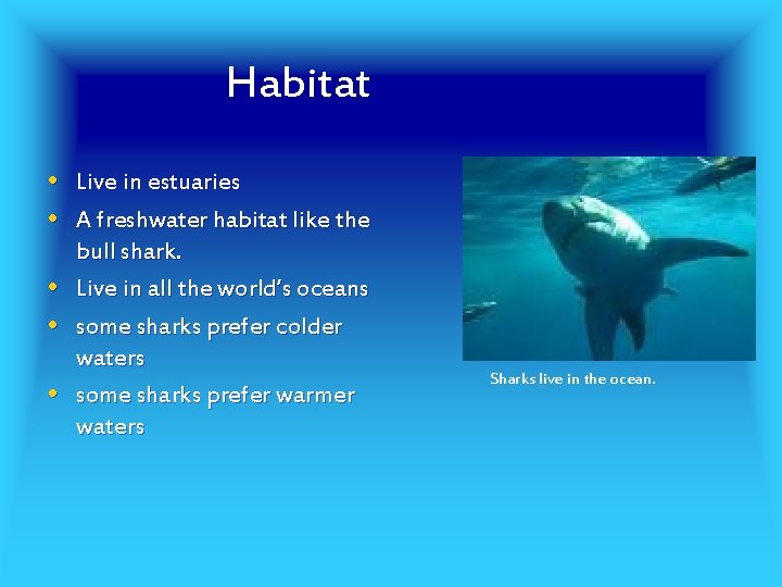 Habitat • Live in estuaries • A freshwater habitat like the • • •