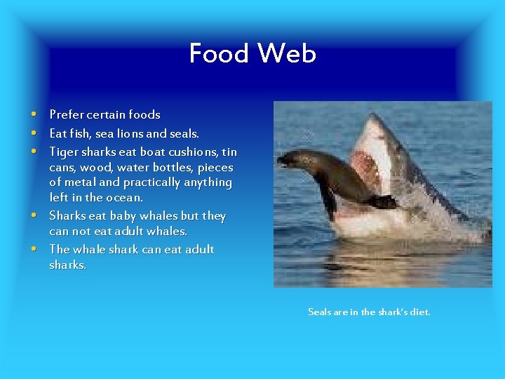 Food Web • • • Prefer certain foods Eat fish, sea lions and seals.