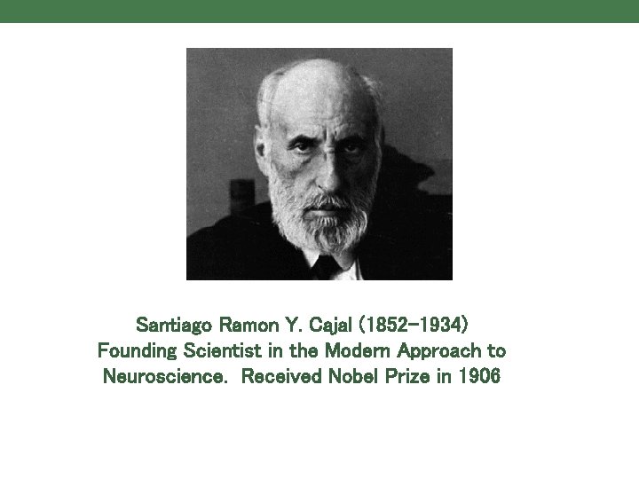 Santiago Ramon Y. Cajal (1852 -1934) Founding Scientist in the Modern Approach to Neuroscience.