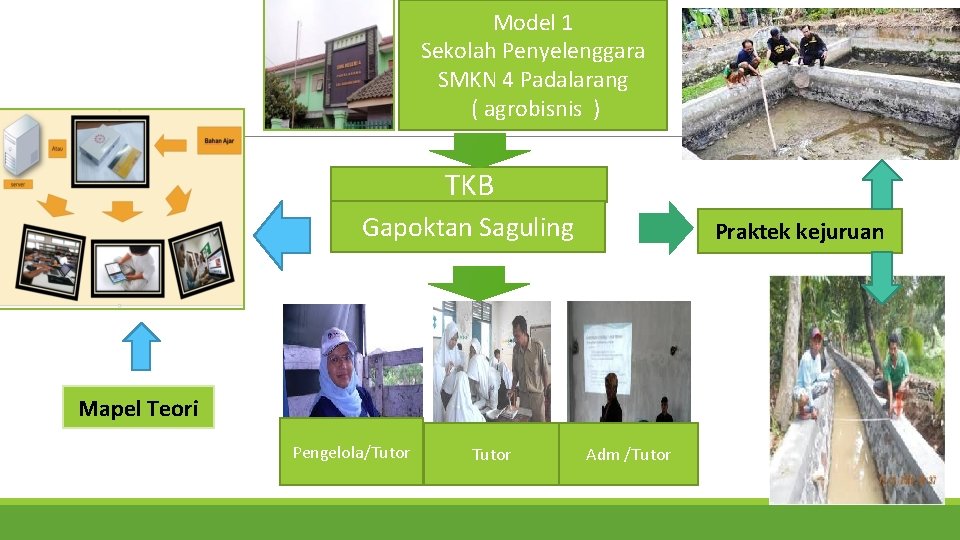 Model 1 Sekolah Penyelenggara SMKN 4 Padalarang ( agrobisnis ) TKB Gapoktan Saguling Praktek