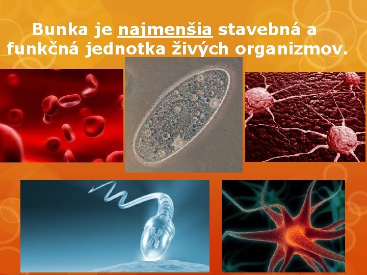 Bunka je najmenšia stavebná a funkčná jednotka živých organizmov. 