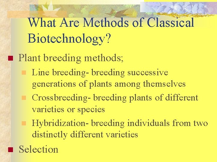 What Are Methods of Classical Biotechnology? n Plant breeding methods; n n Line breeding-