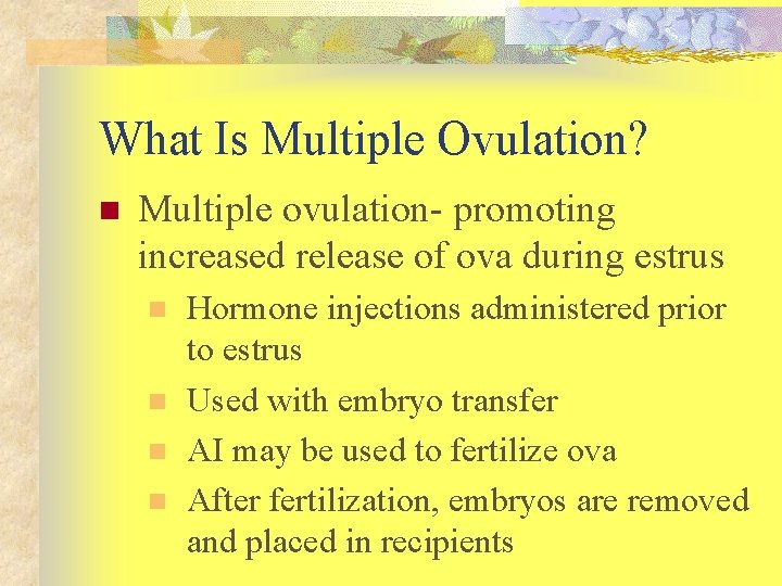 What Is Multiple Ovulation? n Multiple ovulation- promoting increased release of ova during estrus