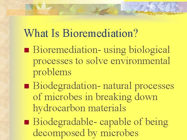 What Is Bioremediation? n n n Bioremediation- using biological processes to solve environmental problems