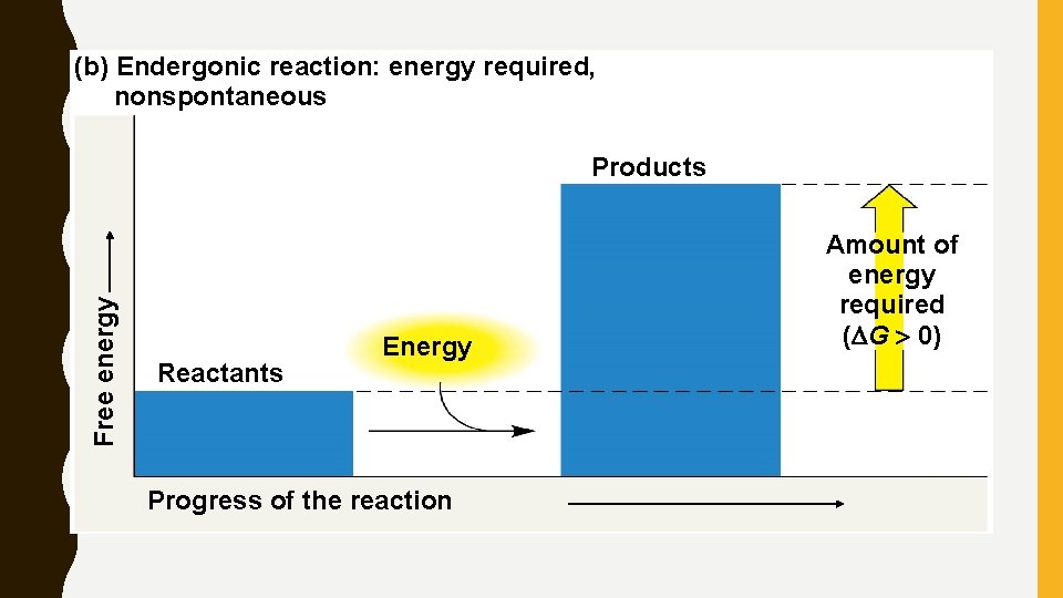 (b) Endergonic reaction: energy required, nonspontaneous Free energy Products Reactants Energy Progress of the