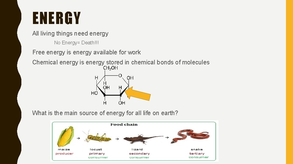 ENERGY All living things need energy No Energy= Death!!! Free energy is energy available