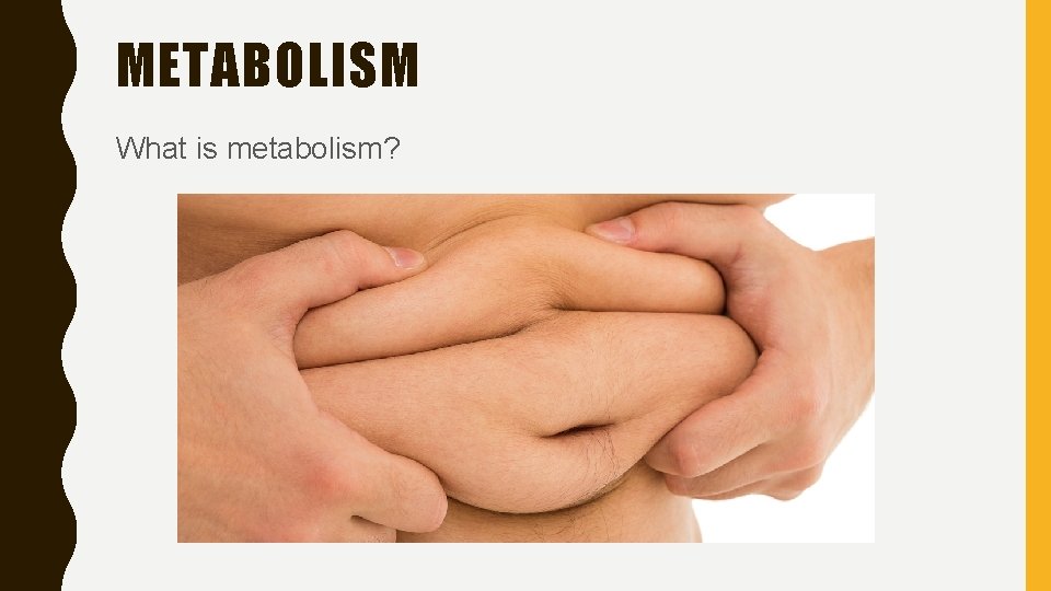 METABOLISM What is metabolism? 