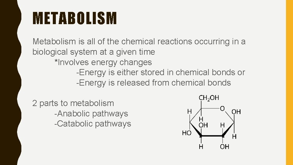 METABOLISM Metabolism is all of the chemical reactions occurring in a biological system at