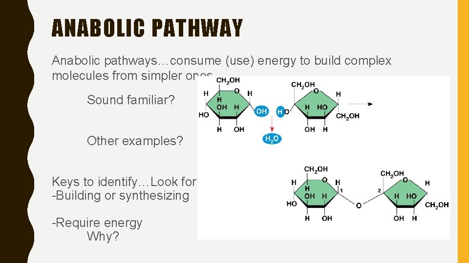 ANABOLIC PATHWAY Anabolic pathways…consume (use) energy to build complex molecules from simpler ones Sound