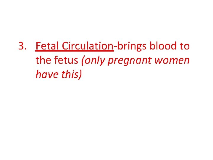 3. Fetal Circulation-brings blood to the fetus (only pregnant women have this) 