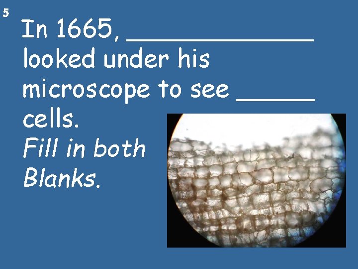 5 In 1665, ______ looked under his microscope to see _____ cells. Fill in
