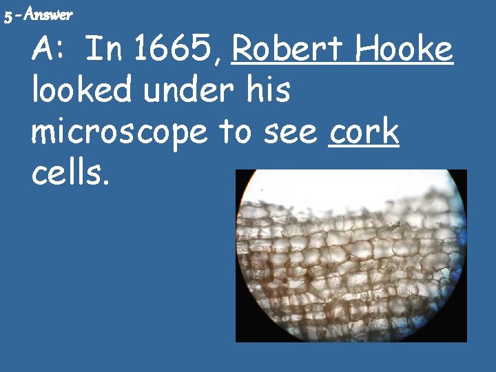 5 - Answer A: In 1665, Robert Hooke looked under his microscope to see