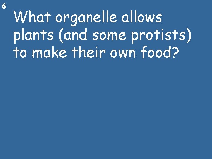 6 What organelle allows plants (and some protists) to make their own food? 