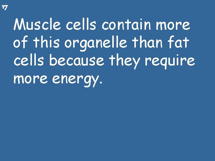 17 Muscle cells contain more of this organelle than fat cells because they require