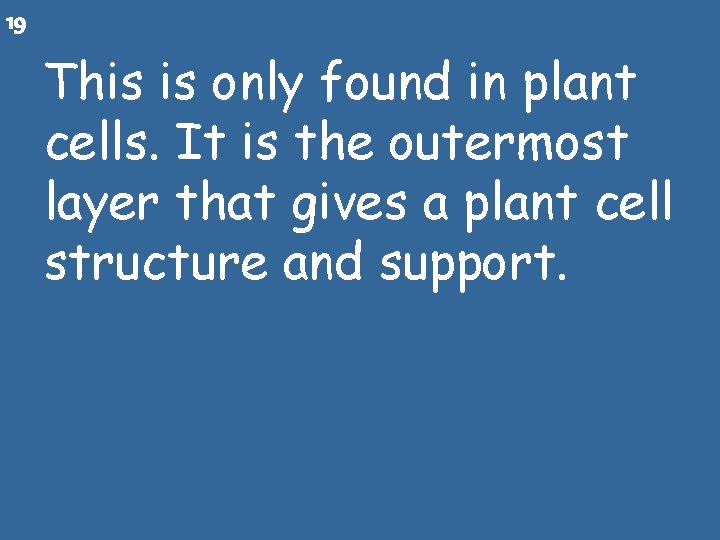19 This is only found in plant cells. It is the outermost layer that