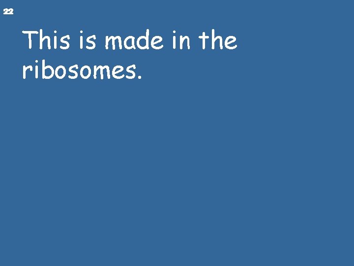 22 This is made in the ribosomes. 