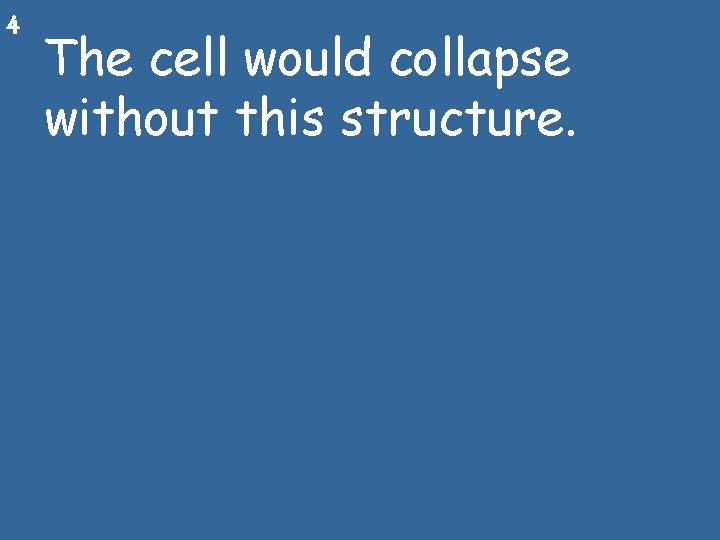 4 The cell would collapse without this structure. 