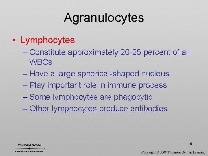 Agranulocytes • Lymphocytes – Constitute approximately 20 -25 percent of all WBCs – Have