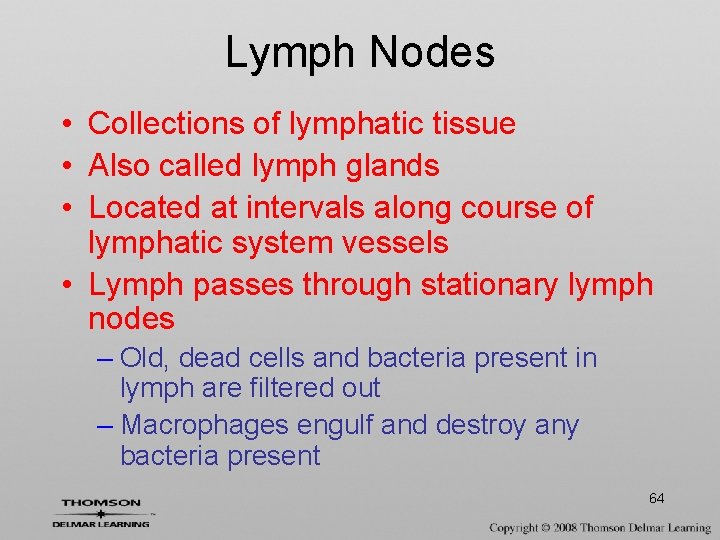 Lymph Nodes • Collections of lymphatic tissue • Also called lymph glands • Located