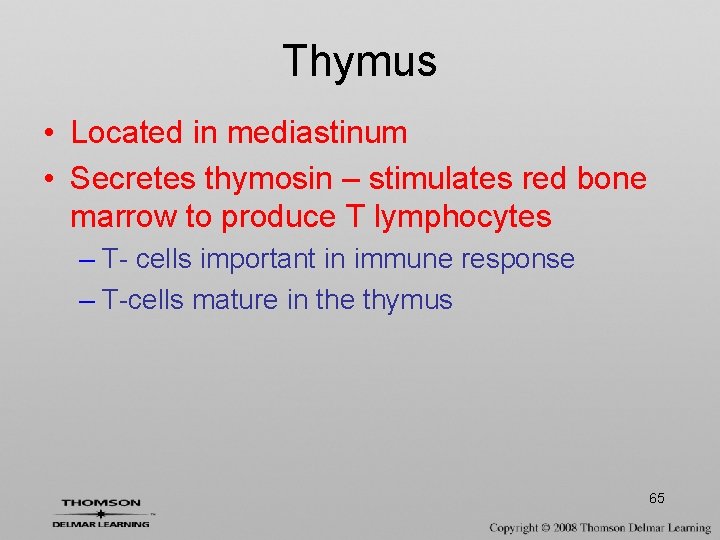 Thymus • Located in mediastinum • Secretes thymosin – stimulates red bone marrow to