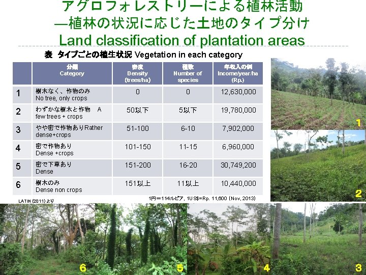 アグロフォレストリーによる植林活動 ―植林の状況に応じた土地のタイプ分け Land classification of plantation areas 表 タイプごとの植生状況 Vegetation in each category 分類