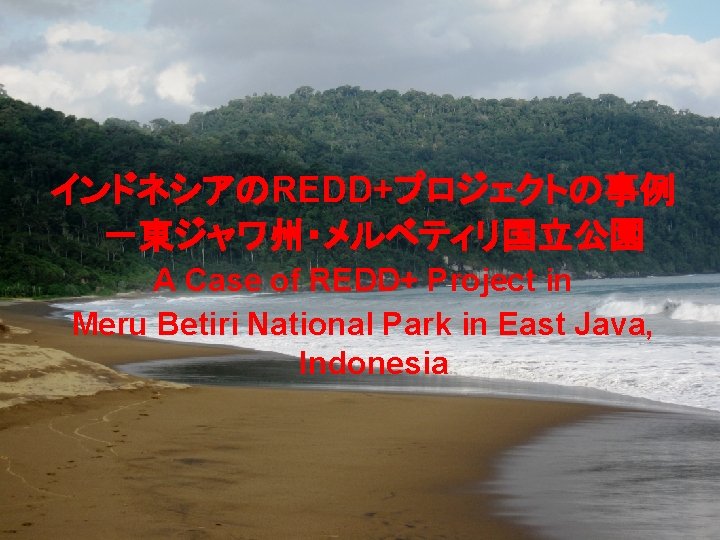 インドネシアのREDD+プロジェクトの事例 －東ジャワ州・メルベティリ国立公園 A Case of REDD+ Project in Meru Betiri National Park in East