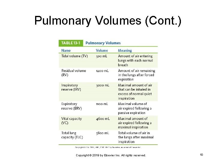Pulmonary Volumes (Cont. ) Copyright © 2019 by Elsevier Inc. All rights reserved. 10