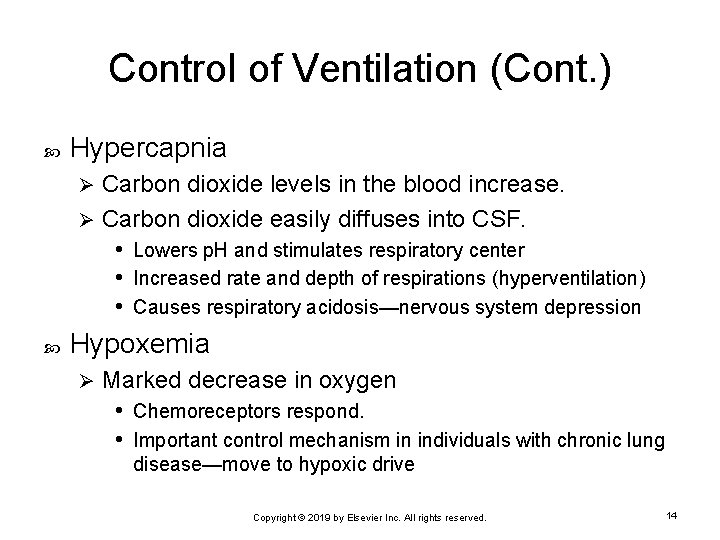 Control of Ventilation (Cont. ) Hypercapnia Carbon dioxide levels in the blood increase. Ø