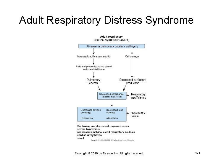 Adult Respiratory Distress Syndrome Copyright © 2019 by Elsevier Inc. All rights reserved. 171