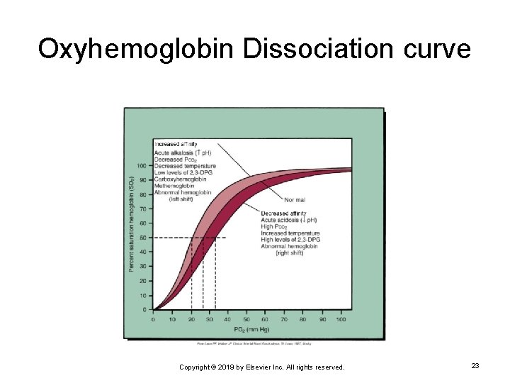 Oxyhemoglobin Dissociation curve Copyright © 2019 by Elsevier Inc. All rights reserved. 23 