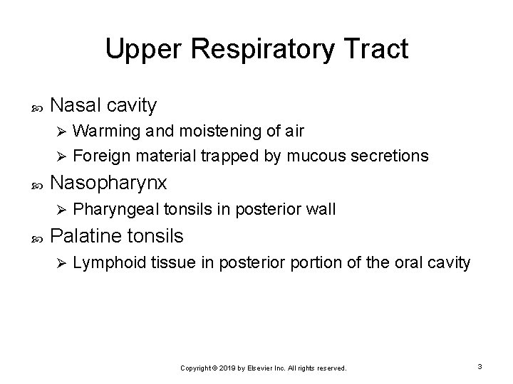 Upper Respiratory Tract Nasal cavity Warming and moistening of air Ø Foreign material trapped