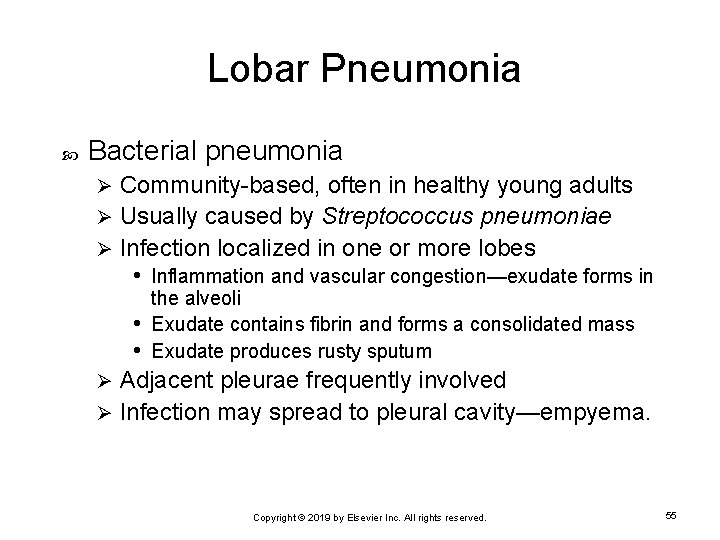 Lobar Pneumonia Bacterial pneumonia Community-based, often in healthy young adults Ø Usually caused by