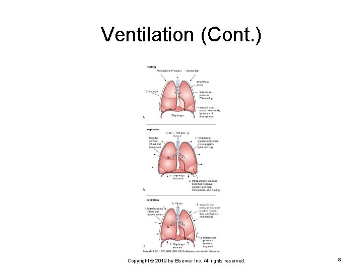 Ventilation (Cont. ) Copyright © 2019 by Elsevier Inc. All rights reserved. 8 