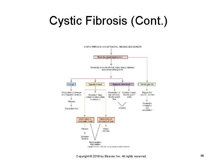 Cystic Fibrosis (Cont. ) Copyright © 2019 by Elsevier Inc. All rights reserved. 89