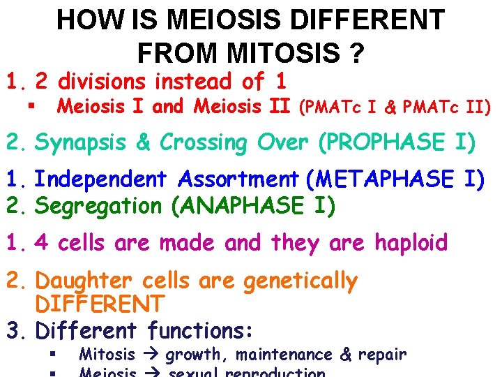 HOW IS MEIOSIS DIFFERENT FROM MITOSIS ? 1. 2 divisions instead of 1 §