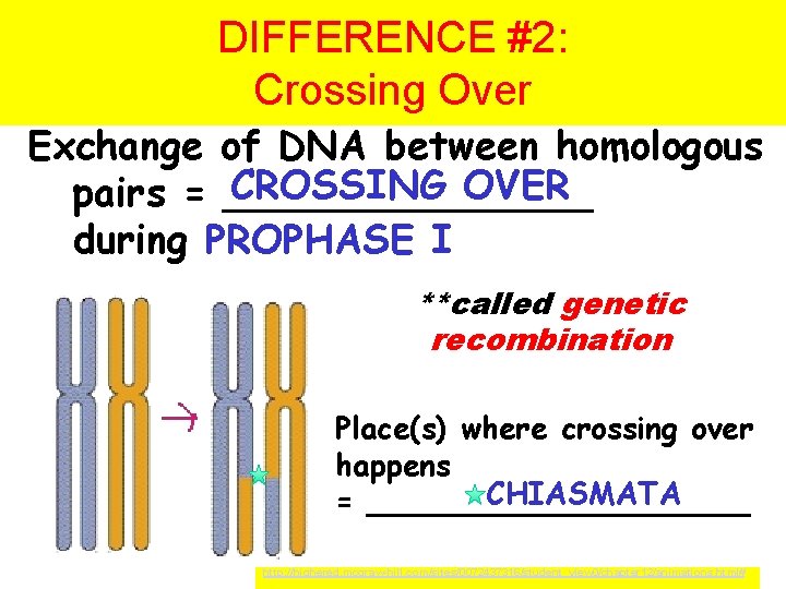 DIFFERENCE #2: Crossing Over Exchange of DNA between homologous CROSSING OVER pairs = ________