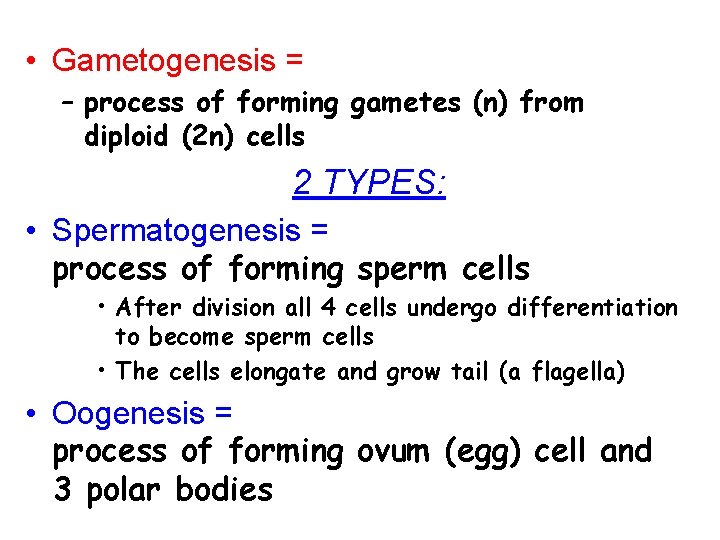  • Gametogenesis = – process of forming gametes (n) from diploid (2 n)