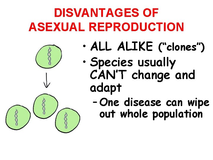 DISVANTAGES OF ASEXUAL REPRODUCTION • ALL ALIKE (“clones”) • Species usually CAN’T change and