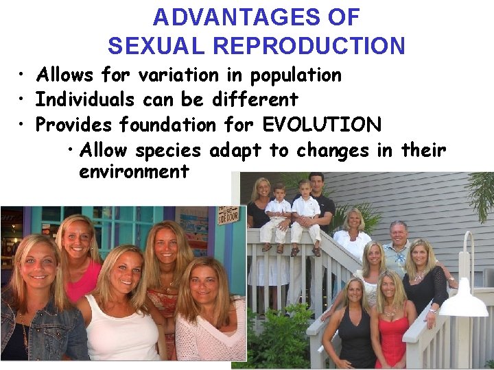 ADVANTAGES OF SEXUAL REPRODUCTION • Allows for variation in population • Individuals can be